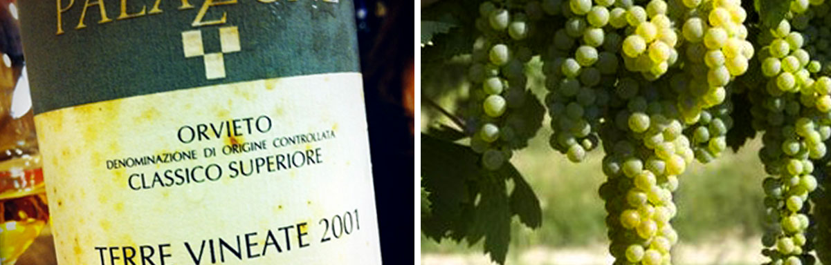 SI-Orvieto-011