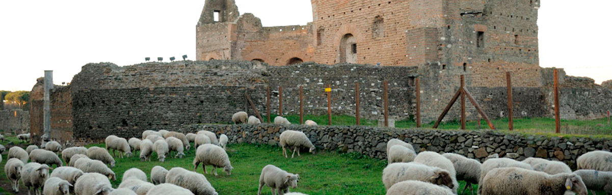 SI-ViaAppiaAntica-01