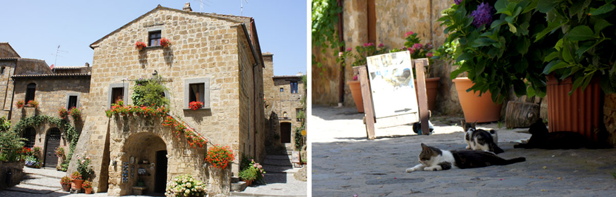 SI-Viterbo-Bagnoregio-03